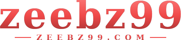 zeebz99 logo